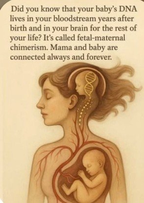 LydiamamaTerf's tweet photo. When my mom died. I said the second umbilical chord is cut.  I felt untethered to reality and the world for months. It's been 9 years and I still need her. She didn't feel the same about her mother. She didn't feel that her mother loved her. But when I look at pictures from my childhood.  I see my moms art all around my grandmother's house. She may not have said it out loud. But she displayed her love for my mom. We can not erase woman and mother. They may try.  But we are made of strong struff.