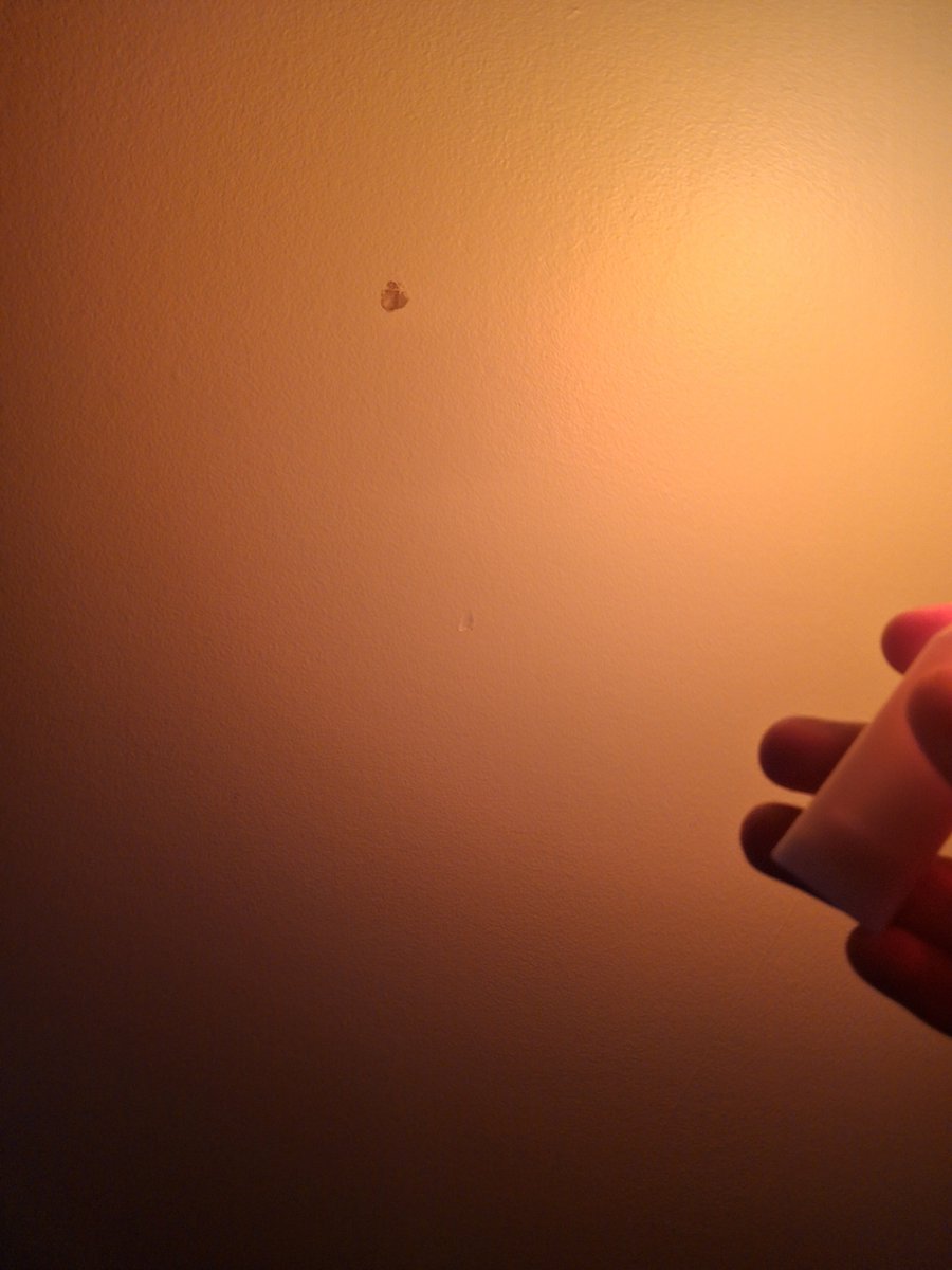 NotPchen's tweet photo. So yesterday I was practing the Ouka. Instead, I preformed a level 500 Stardust and yeeted my chearlight to the ceiling. Because I live in the states and houses are made out of dust and paper, I left a small dent. Oops..... https://t.co/8KgnArxHVW