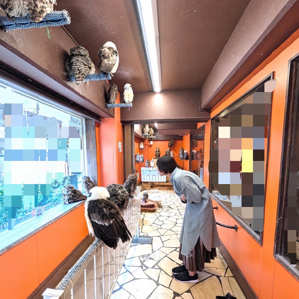 _SEKIchan's tweet photo. さいたま / 30↑

猫とカフェとイラストと旅行が好きです！お友達作りたいです！

よろしくお願いします🙌

#セクマイさんと繋がりたい #wlw 
#大人なセクマイさんと繋がりたい https://t.co/EO2SOY00n1