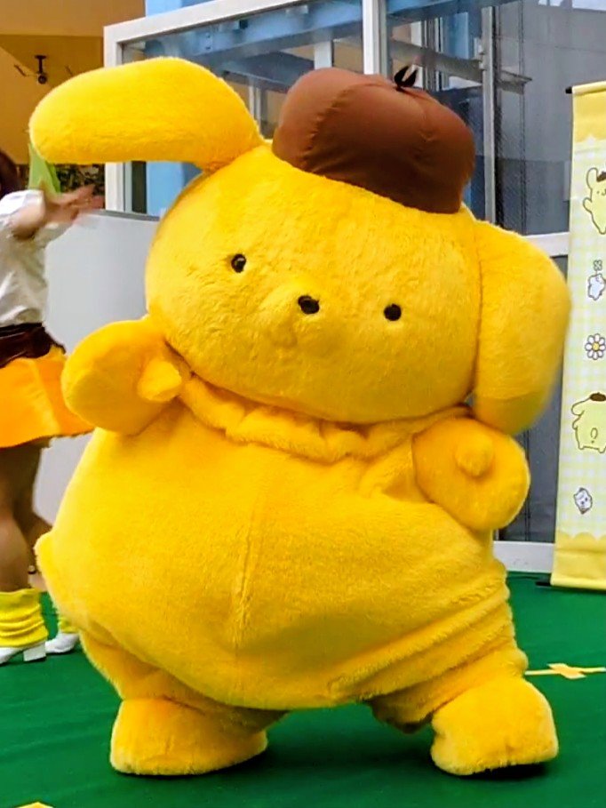 fluffypom416's tweet photo. 躍動感溢れるプリンシリーズ https://t.co/J90DbmKZ6H