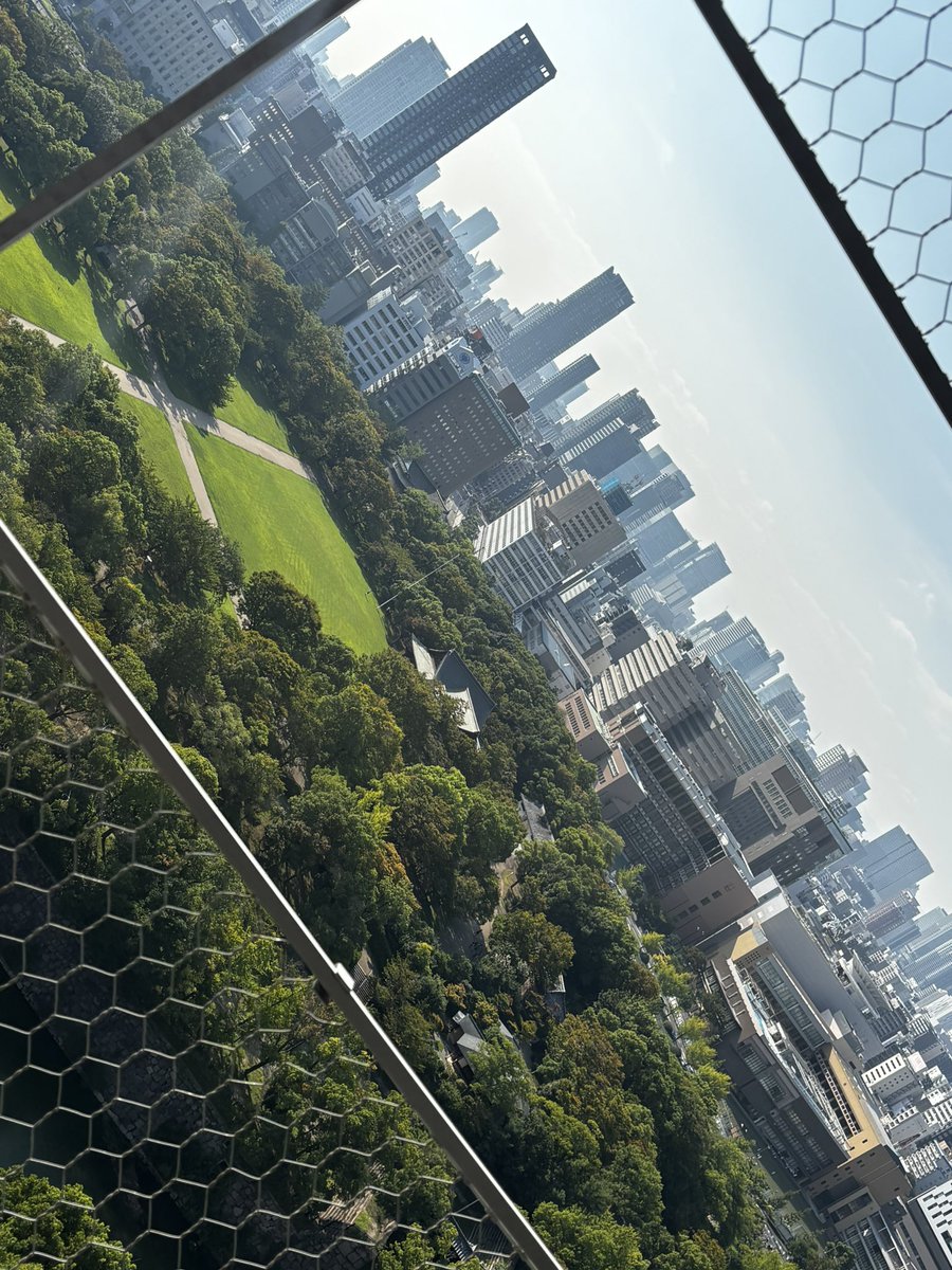 yakisobanpan's tweet photo. 大阪城行ってきた〜🎶
暑すぎて滅 https://t.co/Roq9uk7ULq