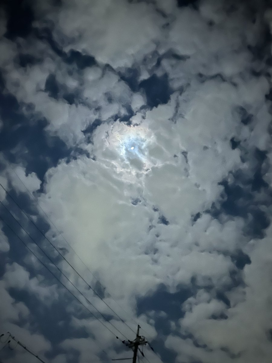 ZEN48833beat's tweet photo. 月が雲に隠れる夜は
君への想いを詩に込めて
夜風に流そう

君のもとへ届くように
君の哀しみが癒えるように

もう二度と逢えないのなら
もう二度と逢ってはいけない
のなら

夜風よ、せめてこの詩を
彼女のもとへ届けておくれ

そして伝えてほしい
最後のおやすみ、を

#返詩 #詩 #写真詩 https://t.co/uzMd37mkkD