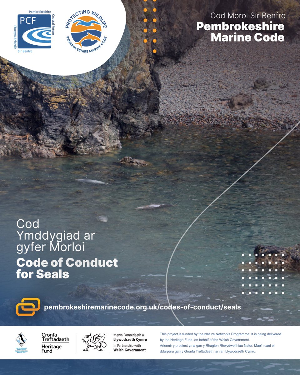 PCFCIC's tweet photo. Keep sound low near haul-out sites.

Noise can disturb resting seals. Keep sound low, limit viewing to 10 minutes and move away if their behaviour changes.

https://t.co/99bNzcF4m3 https://t.co/KxLAGV6wg3