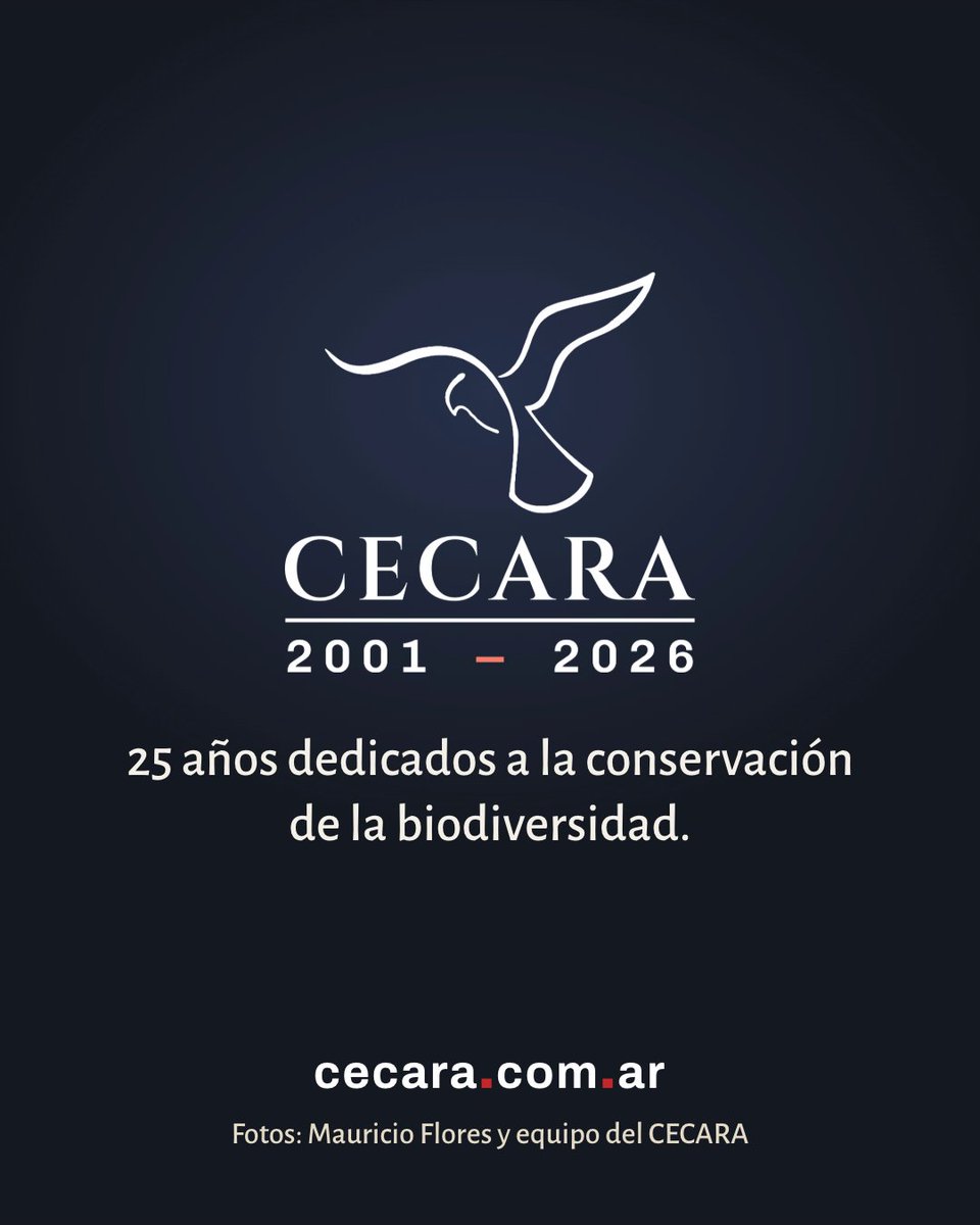 cecaraorg's tweet photo. https://t.co/e4qfpxpoNk