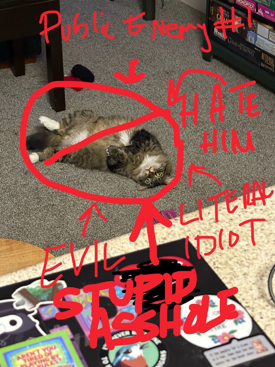 PRACTICEDCATHLC's tweet photo. stupid fucking cat knocked over my stupid fucking keyboard it’s stupid fucking 5:30 in the morning and it probably just woke up my down stairs neighbor stupid dumb idiot fucking STUPID DUMB CAT https://t.co/P94sncVfiQ