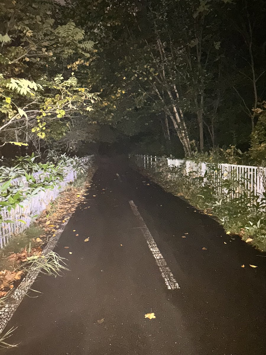 N_T_R_X2000's tweet photo. えんえんあぜみち？ https://t.co/qJee3i5q6b