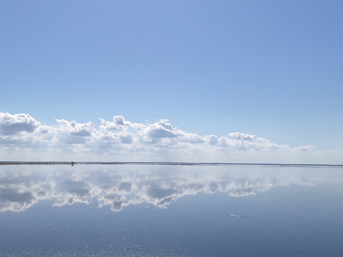 milk_teacup's tweet photo. 昨日は牛君達と写真撮って知床泊まって
今日は野付半島寄り道して苫小牧まで https://t.co/GJqnk8y6Lb