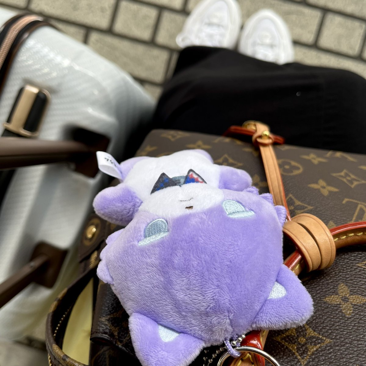 katagrsm's tweet photo. 名古屋旅行から帰ってきたにょ
生でシャチを見た興奮冷めやらぬ🫍 https://t.co/RxUaVzk9iA