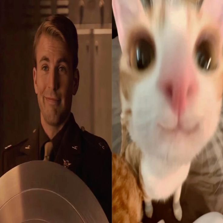 Capssexual's tweet photo. 🐜⭐️   . . .⠀⠀꒰ #yumetwt ꒱

     Sharing Steve Rogers and 
            Sam Wilson yume 

            ⁺　.⠀ ⠀  ⌒₊˚ ❤︎ ⠀ 
                    he/him   ノ⠀49teen .⠀
       ︵  #bliptwt ⠀ #captwt ⠀ 
#avengerstwt #marveltwt #mcutwt

         ♡ / ↻ to be moots .ᐟ https://t.co/QmB8rpmgig