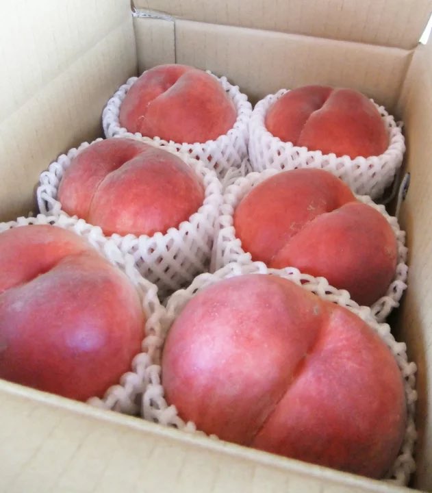YUM_NOSH_FFC's tweet photo. 🍑山梨・加納岩の桃「加納岩の桃」

硬めの食感が好きな方におすすめ✨
しっかりとした果肉と、桃らしい甘さを楽しめる人気の桃です。

山梨県・峡東エリアの農園から、産地直送でお届け🍑

大切な方への贈り物にもおすすめです🎁
#山梨県 #山梨の桃 #加納岩の桃 #アンの桃 #桃 #旬の果物 https://t.co/7IAdsKYIK7