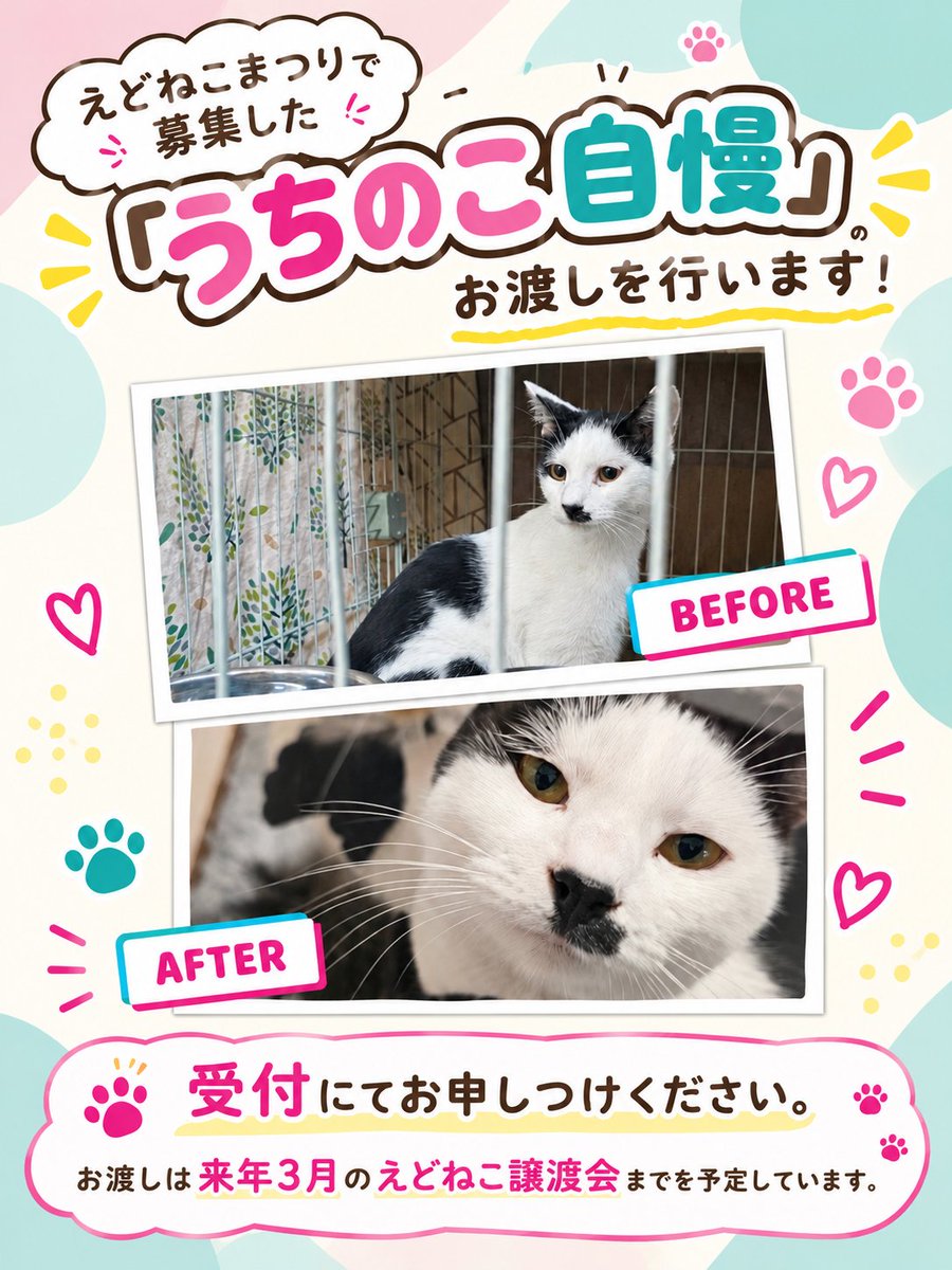 edoneko3's tweet photo. #えどねこ譲渡会 のお知らせ📣⁡⁡
予約不要ですが事前受付をしていただくと入場がスムーズです。
⁡⁡⁡⁡🐱参加猫さんは後日発表⁡
⁡⁡
⁡猫を初めて迎える方もお気軽にどうぞ☺️⁡
⁡⁡⁡会場にてご寄付も受け付けております。⁡⁡⁡
 #えどねこ  #江戸川区  #保護猫譲渡会 https://t.co/MGlgswpd6Q