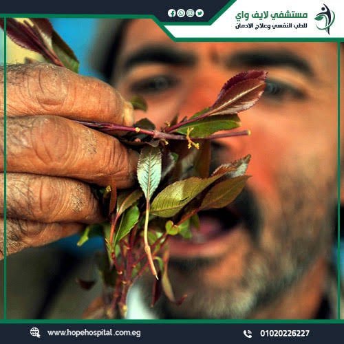 MJD_APEX's tweet photo. عقلية اليمني اليوم أمام كارثة القات المخدر

بينما يتابع العالم دوله وهي تبني اقتصادها وتحارب المخدرات وتحمي صحة شعوبها

ما زال اليمن غارقآ في كارثة القات المخدر التي تتوارثها الأجيال جيلآ  بعد جيل

المصيبة ليست في المواطن وحده المصيبة الأكبر في سياسي وناشط وصحفي

ومسؤول ورئيس ووزير صحة يرى هذه الكارثة أمامه ثم يتعامل معها وكأنها أمر طبيعي لا يستحق المواجهة

أين الدولة أين وزارة الصحة أين المسؤولية وأين الخوف على الإنسان اليمني؟

اليمن منذ عقود يدار بعقلية الأزمات والمصالح الضيقة بينما صحة المواطن وتعليمه ومستقبله تأتي في آخر قائمة الاهتمامات وفي المقابل يكبر نفوذ الفساد وهوامير المال والمصالح  ويصبح المواطن هو من يدفع الثمن

دول الخليج أعزها الله اتخذت إجراءات صارمة تجاه القات المخدر بينما في اليمن ما زالت هذه الشجرة تلتهم الأرض والمال والوقت وصحة الإنسان وكأن الدولة عاجزة أو غير راغبة في مواجهة المشكلة

كنا ننتظر من الحكومة الشرعية قرارآ تاريخيآ يضع حدآ لهذه الكارثة لا أن تبقى

الضرائب والإيرادات مبرر  لاستمرارها صحة اليمني ليست مشروعآ لتحصيل الإيرادات وحياة الناس ليست سلعة تباع مقابل المال

والأخطر من ذلك أن القات المخدر أصبح جزءآ من منظومة اجتماعية وسياسية
استخدمت عبر مراحل تاريخية مختلفة

لإبقاء اليمن غارقآ  في الجهل 
والفقر والتخلف والانشغال بقوت يومه 

القات المخدر ليس قدرآ مكتوبآ على اليمنيين والفساد ليس قدرآ والفقر والانقسام ليسا قدرآ

لكن طالما بقي المسؤول يبحث عن مصلحته
والمتنفذ يبحث عن أرباحه والسياسي يبحث عن نفوذه والمجتمع يعتاد الكارثة حتى تصبح جزءآ من حياته فلن يتغير شيء

اليمن لا يحتاج مزيدآ من الخطب والشعارات اليمن يحتاج 
دولة تملك الشجاعة لتقول كفى

كفى فسادآ
كفى استغلالآ للمواطن
كفى عبثآ بصحة الأجيال

وكفى تحويل القات المخدر إلى أمر طبيعي لا يجوز الاقتراب منه

 اليمن لن يخرج من أزماته بعقلية القات المخدر والفساد والطمع والأنانية والأحقاد ما لم تتغير هذه العقلية ستظل الكارثة تتوارثها الأجيال وسيبقى اليمن يدفع الثمن حتى يرث الله الأرض ومن عليها

24 سبتمبر 2026م