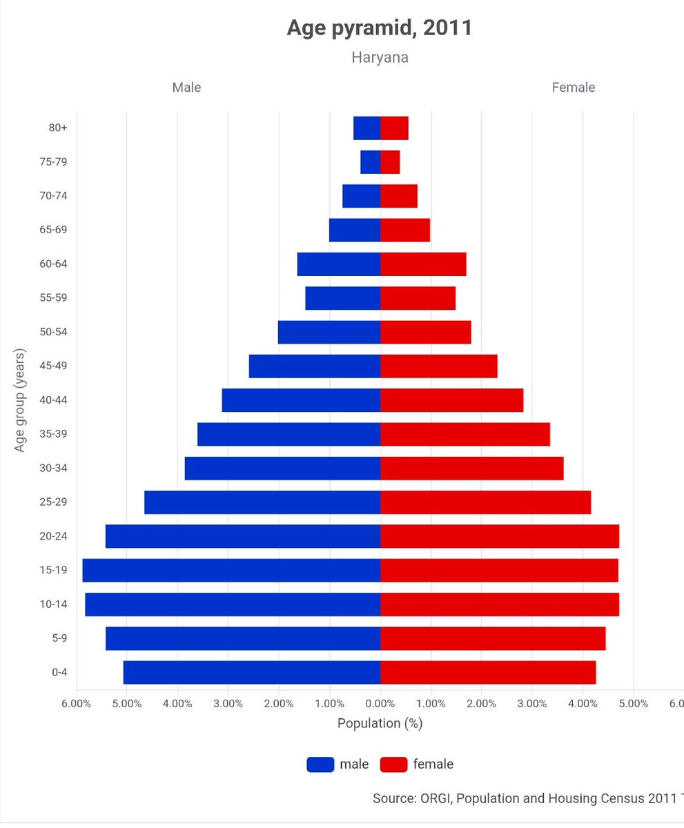 Indicpersp's tweet photo. @albadhi_h NFHS is just a survey, no one gonna accept foeticide unless it happened due to some medical conditions. it's not narrative when population pyramid looks like this. https://t.co/HAVdj9nR6h