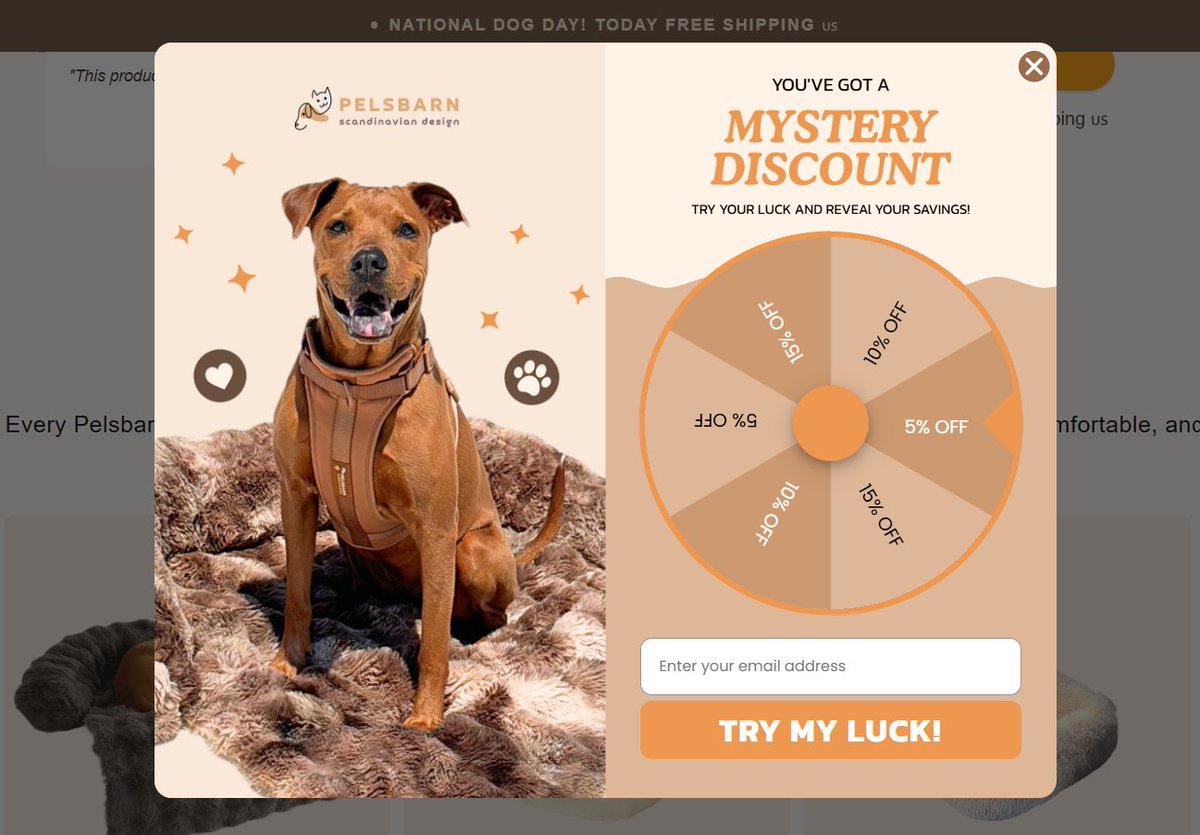 SenseiEcom's tweet photo. Ecom brands are getting pretty creative with their offer

This store is using a mystery discount wheel instead of just throwing a “15% OFF” popup in your face

You enter your email, spin the wheel, and get a random discount

It turns a boring discount into something interactive

Shop Url: https://t.co/hZwnTr0n63