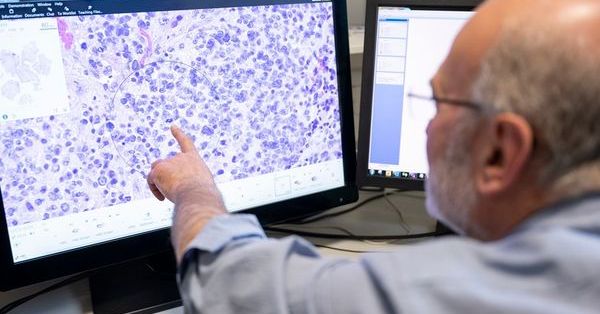 RCPath tweet picture