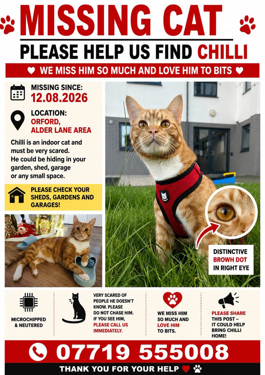 MissingPetsGB tweet picture