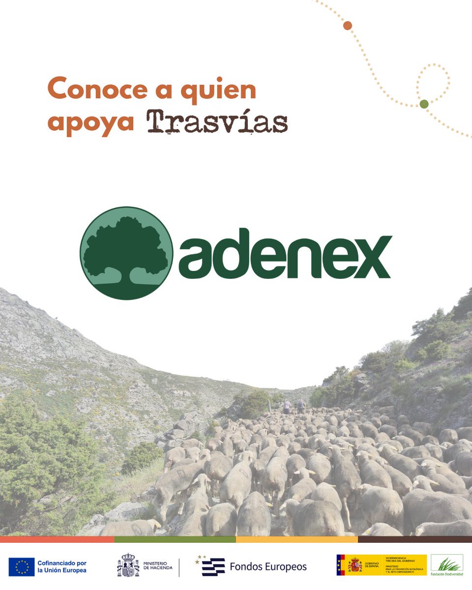 trasvias_'s tweet photo. 🌳Conoce a nuestros socios: Asociación para la Defensa de la Naturaleza y los Recursos de Extremadura.

Desde 1978 defendiendo la dehesa y la biodiversidad. Pionera en custodia del territorio y clave en la creación de Monfragüe.

https://t.co/JARNFc8vtP

@Fbiodiversidad #FEDER https://t.co/cwghtbOg5R