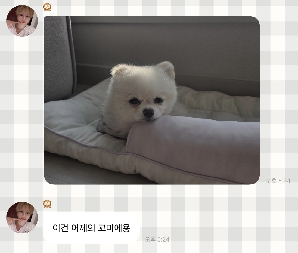 yang82mari's tweet photo. 추석이라 본가내려가더니 귀요미들사진 와다다보내주는거 너무고맙네 https://t.co/YvWnD6Xjp8