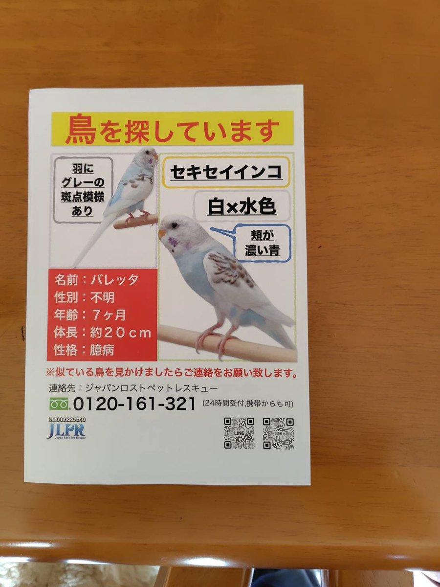 todora0729's tweet photo. 四條畷の知り合いの家のポストにも入ってたそうです。
マンションも多い地域。
どこかのお家で保護されてますように。
門真、寝屋川、大東にも近いので、お近くの方どうぞよろしくお願いいたします。 https://t.co/SjSUiqKCiN