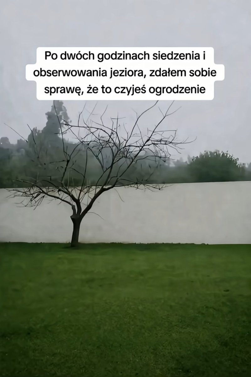 Robryc00's tweet photo. Bez trybu. 
Dzieńdoberek. https://t.co/nONWqu05Cd