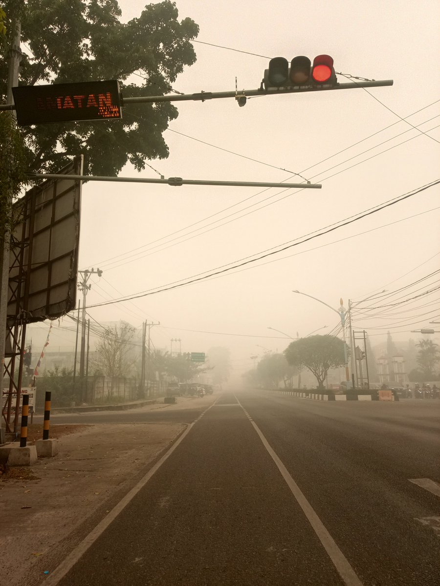 Nattayasuai's tweet photo. Keluar buat ambil STNK motor sepupuku syok lihat kabut asap ini, jadi buru-buru buat balik.

Sampe rumah langsung cari kipas, untuk aku kuat jadi asma gak tiba-tiba sesak yang sakit gitu. https://t.co/gOS6RcNief