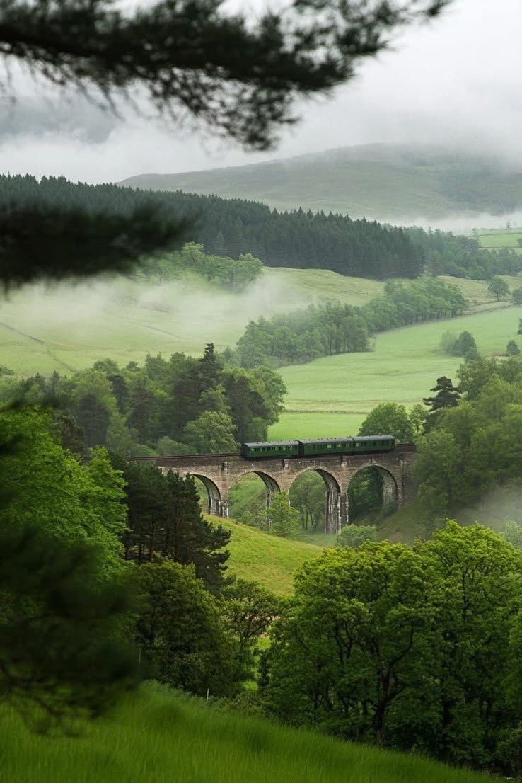 NaturalWorld515's tweet photo. Scotland..🏴󠁧󠁢󠁳󠁣󠁴󠁿 https://t.co/jY36uDE0y1