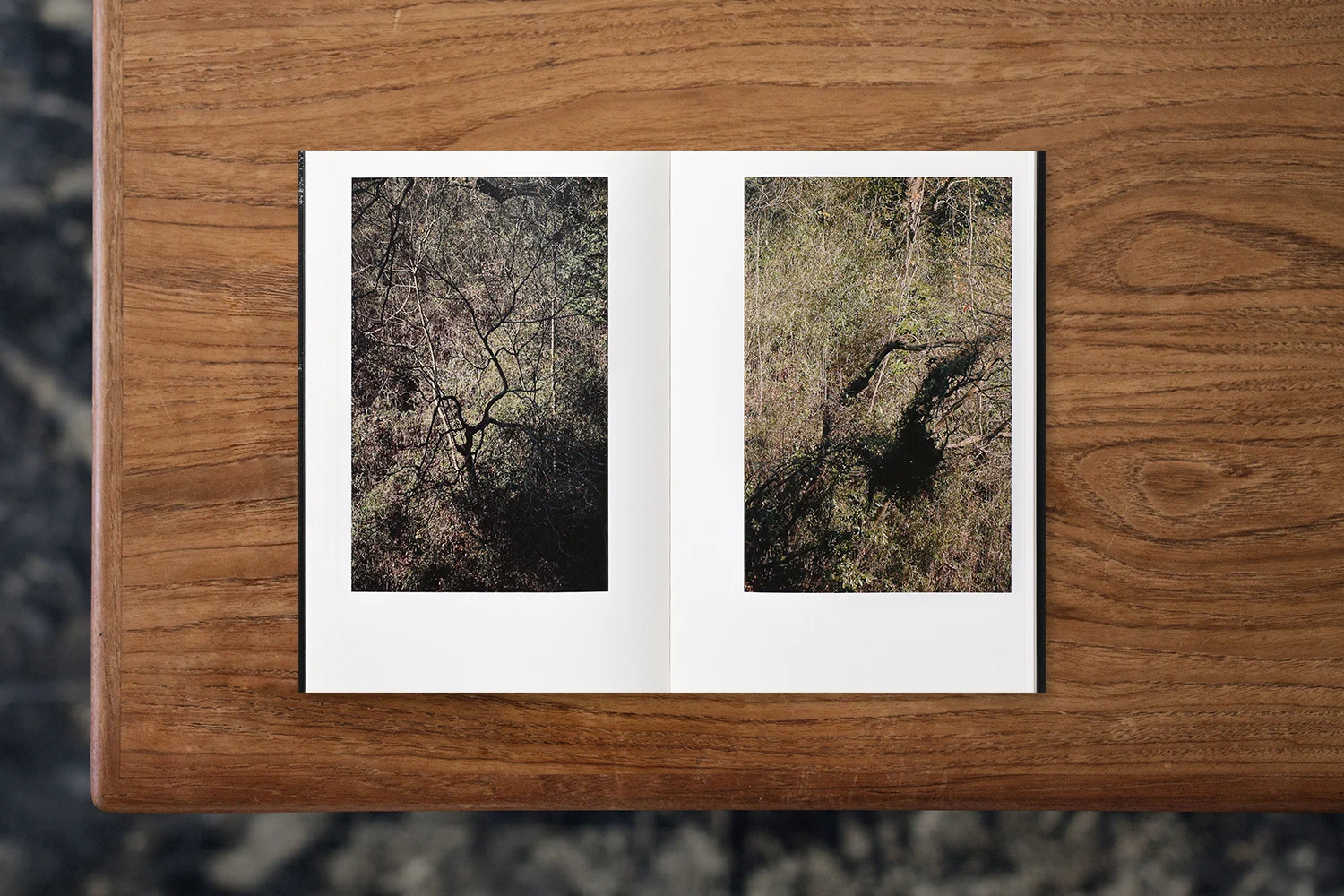 BOOK AND SONS on X: 