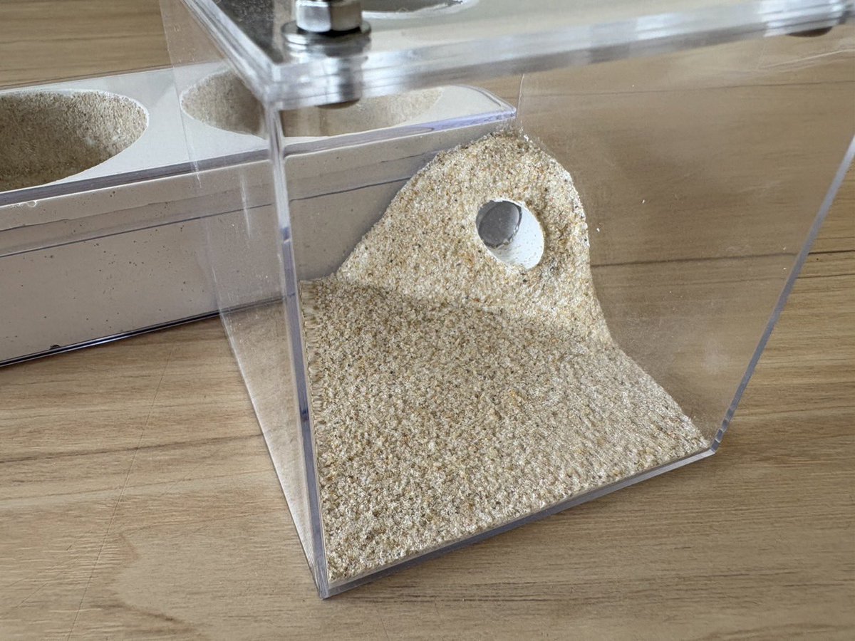 ant_mania80697's tweet photo. 【蟻道販売商品】

メッシュ部分の下にあるタンクの水の蒸発によって巣内を加湿！
これにより湿度を調整でき、キバハリアリなどの飼育に適しています。
また石膏に直接加水すれば、クロオオアリなどの多湿種も飼育可能です。
また通気加工を施した自然な砂の地面の餌場のセットも数量限定で販売します！