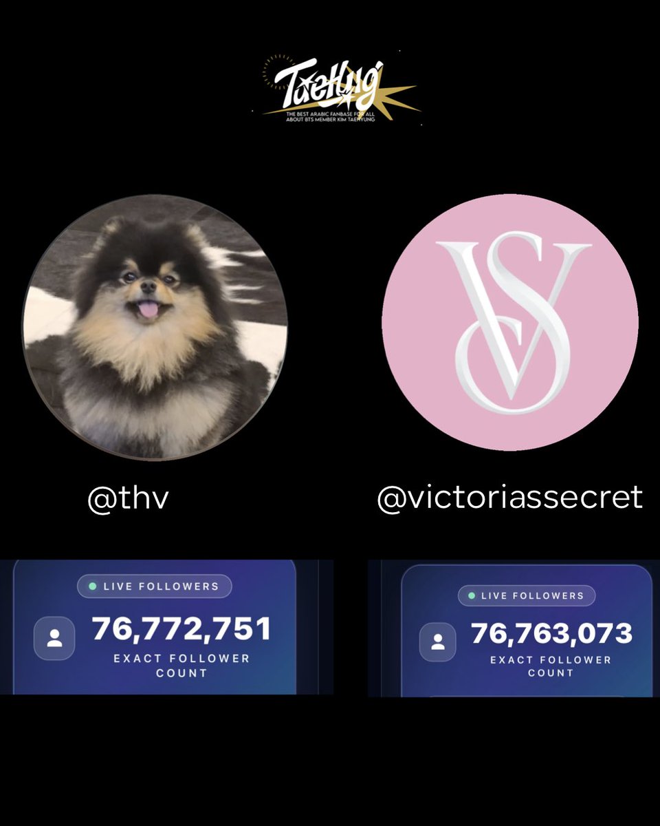 AR_TAEHYUNG1's tweet photo. تايهيونق يتجاوز حساب Victoria’s Secret على انستقرام، ليرتقي إلى المركز الـ61 ضمن أكثر الحسابات متابعة على المنصة، خلف إيرلينغ هالاند مباشرةً، الذي يبلغ عدد متابعيه 77,114,922 متابعًا. https://t.co/c7MNGuaESL