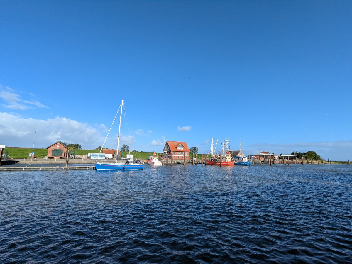 Nordwestroute's tweet photo. Moin aus Butjadingen
...#Fedderwardersiel #butjadingen #nordsee #wesermarsch #Burhave #tossens #eckwarderhörne #Ruhwarden https://t.co/acM9wkbY2Y