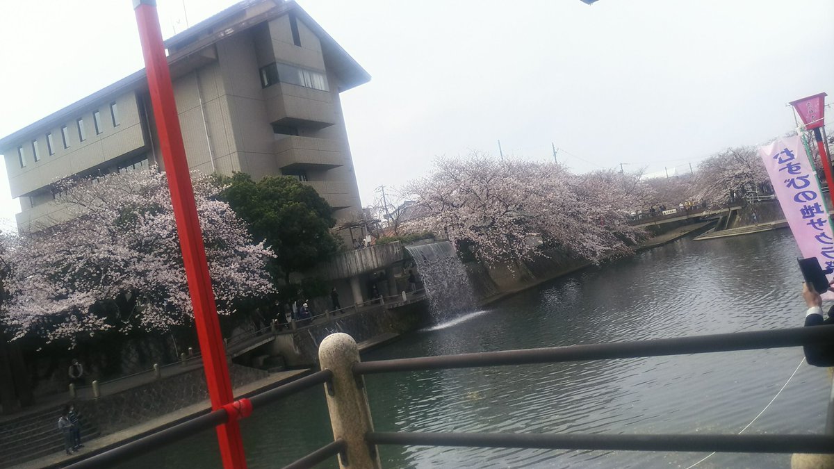 Sei2Seisei's tweet photo. 人生に影響を受けた映画best10には入る。生きるの辛いな，苦しいことばかりだなという人にこそ見てほしい映画。 https://t.co/MZLxtLbtmz