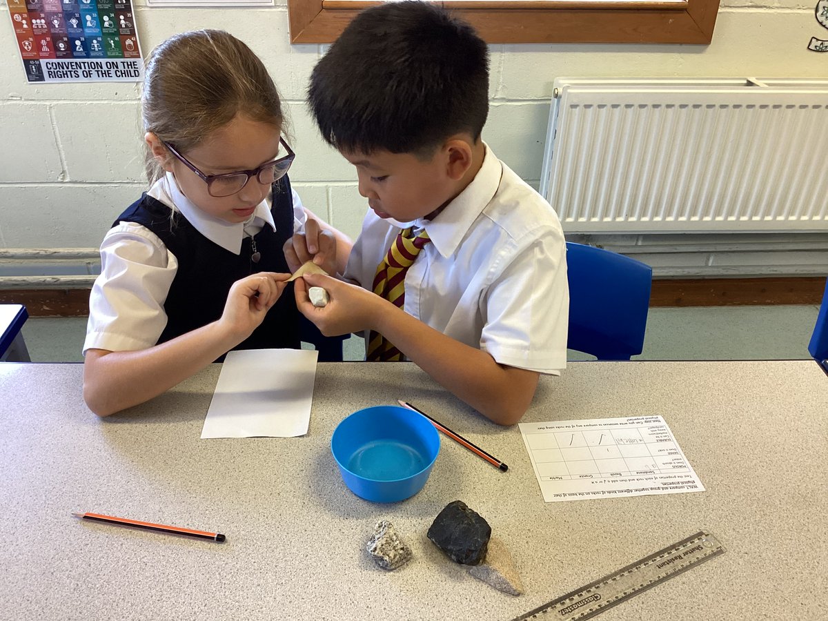 SSPP_Primary tweet picture