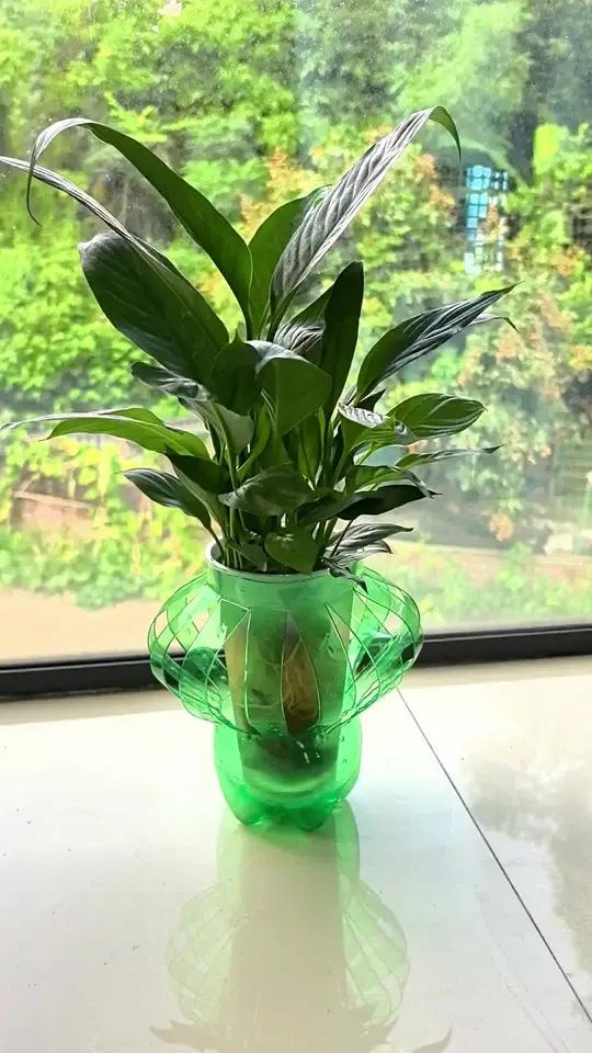 IsmaelLicalzi's tweet photo. Transformé botellas de plástico viejas en macetas minimalistas! Sostenibilidad + hogar bonito ， https://t.co/nCtF2vWDAI