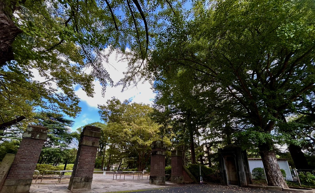 hide1304's tweet photo. 雨上がりのいい天気に昭和の遺構がある
近所の公園散歩(^^)
でも時期外れに日向は暑い🥵

#公園散歩
#昭和の遺構
#iPhone https://t.co/qwMqHxG62M