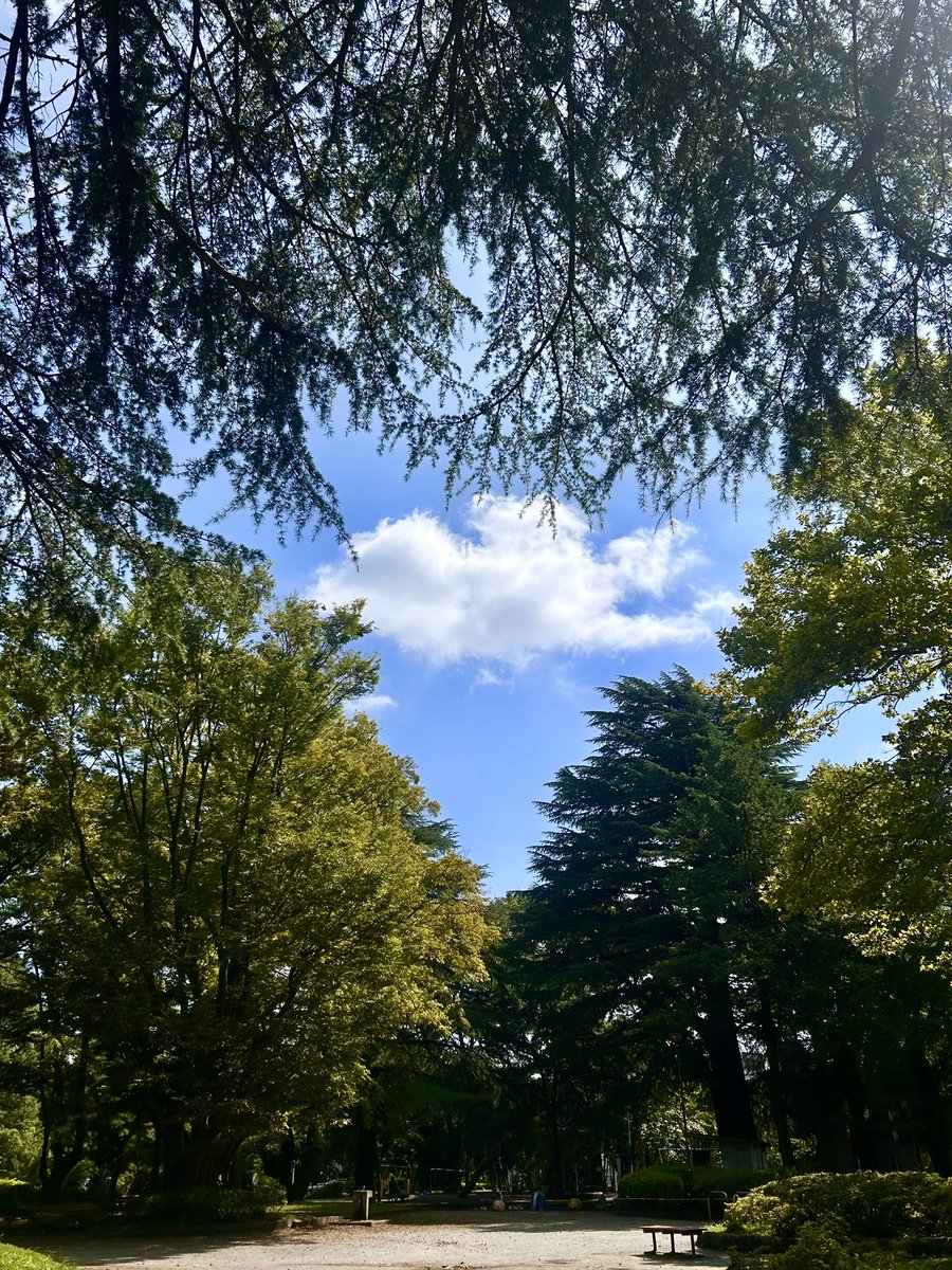 hide1304's tweet photo. 雨上がりのいい天気に昭和の遺構がある
近所の公園散歩(^^)
でも時期外れに日向は暑い🥵

#公園散歩
#昭和の遺構
#iPhone https://t.co/qwMqHxG62M