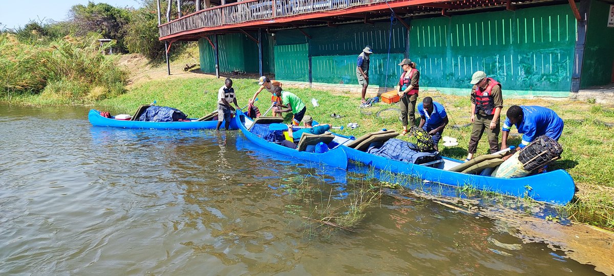 Zamsato's tweet photo. 🛶 Into the Wild — Lower Zambezi Canoe Safari

The canoes are packed and the adventure begins! For the next two nights, our guests from Poland will leave roads, lodges and everyday distractions behind and experience the Lower Zambezi from the water.

Paddling with the current, we travel through one of Zambia’s great wilderness areas, surrounded by the sights and sounds of the Zambezi. When evening comes, we pull onto an island and make camp beneath the African sky.

🔥 Meals cooked over an open fire.
🏝️ Sleeping on islands in the Zambezi River.
🛶 Days spent quietly exploring by canoe.
📵 No cellphone coverage.
🚫 No engines. No traffic. No rush.

Just the rhythm of the paddle, the sounds of the bush, wildlife along the riverbanks and evenings around the campfire.

Sometimes the greatest luxury is silence, simplicity and being completely disconnected from the outside world.

This is the Lower Zambezi the way it should be experienced.

#Zamsato #LowerZambezi #CanoeSafari #Zambia #VisitZambia