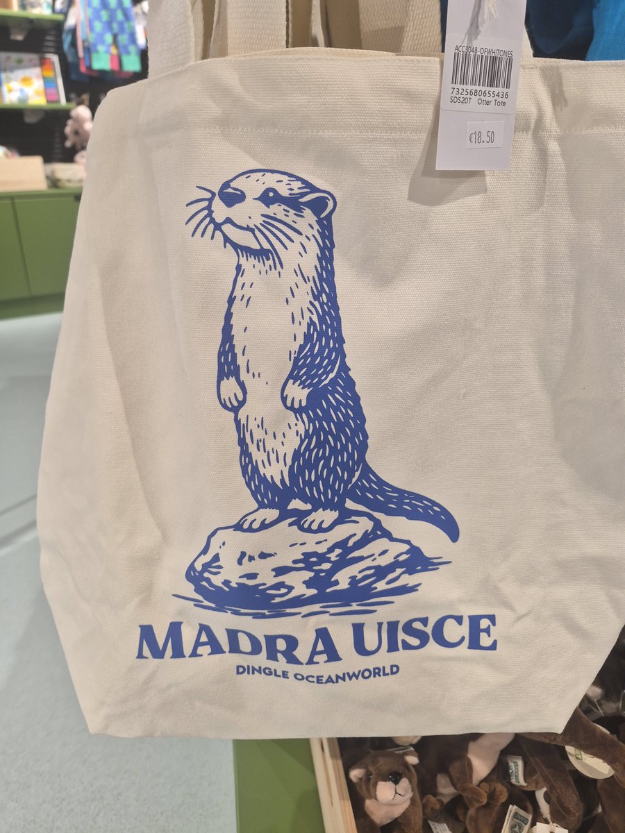 saolodheas's tweet photo. Clár speisialta inniu agus sinn ag craoladh beo ó @dingleaquarium agus iad 30 bliain ar an bhfód @RTERnaG 
Bí linn óna 12.08-1... https://t.co/ezjyl907ii