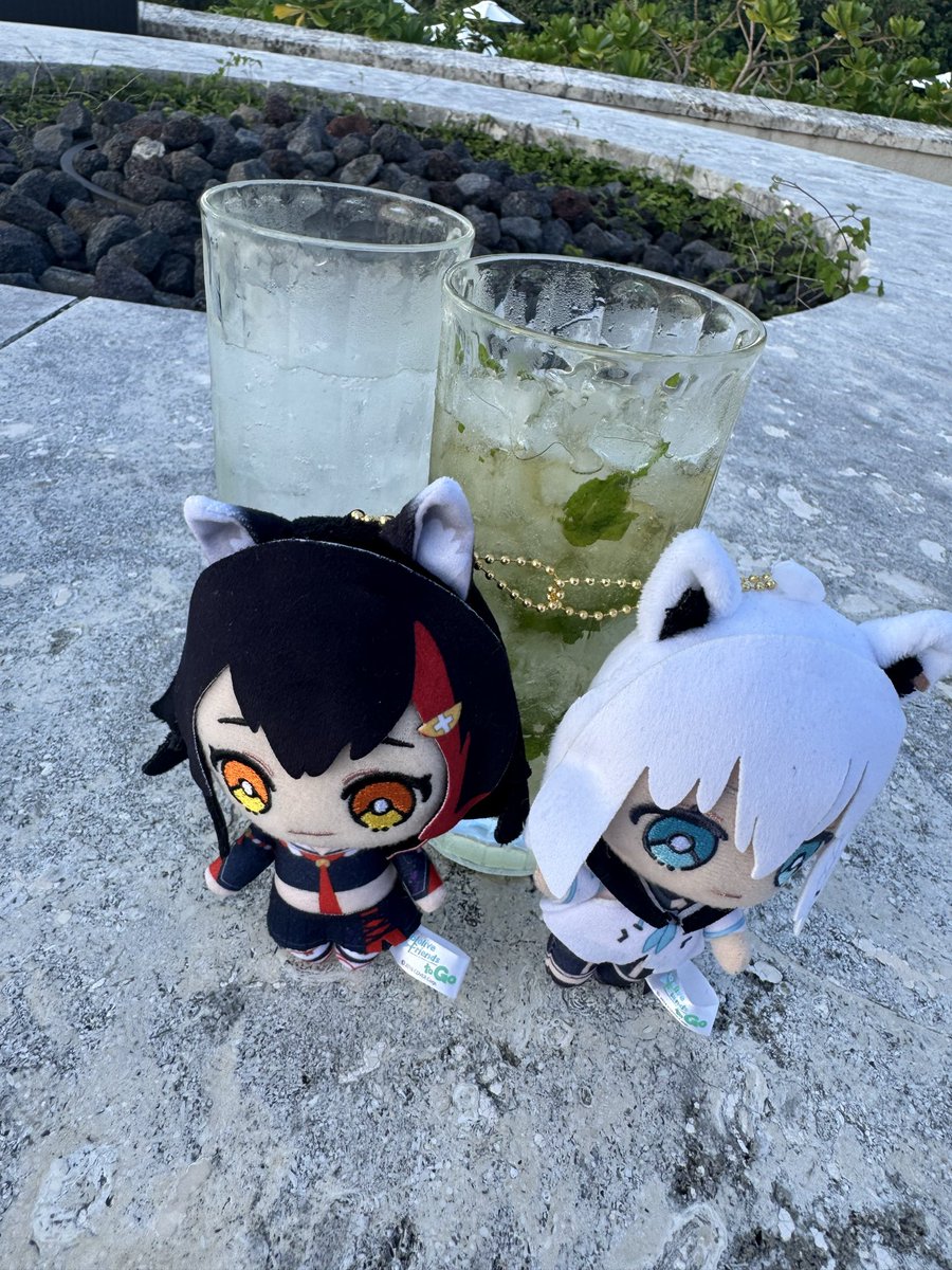 ABeGON0137's tweet photo. 沖縄旅行にて推しぬい撮影
#ホロライブ
#白上フブキ 
#大神ミオ
#フブミオ
#推し活 https://t.co/H8ZhJdVe4A