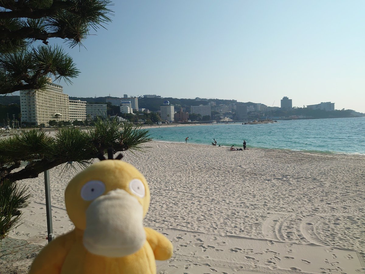 tabikodakku's tweet photo. 旅コダック南紀白浜
白良浜はとても美しいです✨
真っ白な砂浜にエメラルドグリーンの海🥰 https://t.co/Gr22zmNBMS