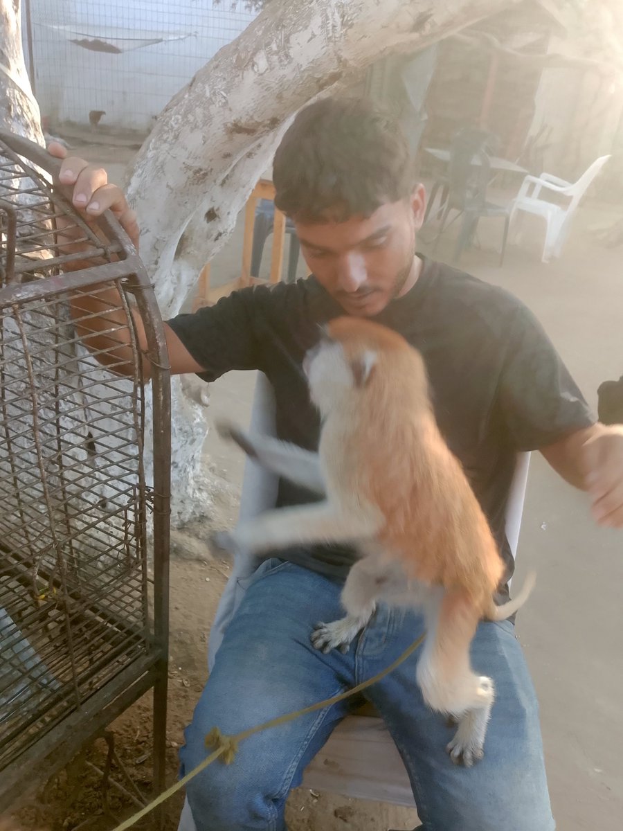 7FQLa7e5nwsccCZ's tweet photo. My name is Youssef,I'm a father of two girls,and I'm currently unemployed This link is my family's only source of income,but unfortunately,it's been a long time since our last donation Please don't leave me alone;Ineed your help to provide food and basic necessities for my family https://t.co/g5v9rv3duh