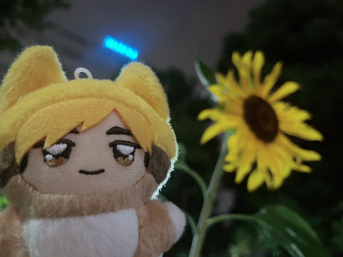 pom_chimi24's tweet photo. 🦊さいきんな まえがみのさきっぽの ぎざぎざが いたんできそうで しんぱいやねん🌻💦

ちみ＋その他ぬい・フィギュアなど、連れてお出かけする時のポーチやバッグでおすすめあれば是非教えてください🤨💭
ちょうどいい大きさで普段使いもしやすいもの...👜

#うちのちみけも
#ちみけものいる暮らし https://t.co/rXYsSVSsNy