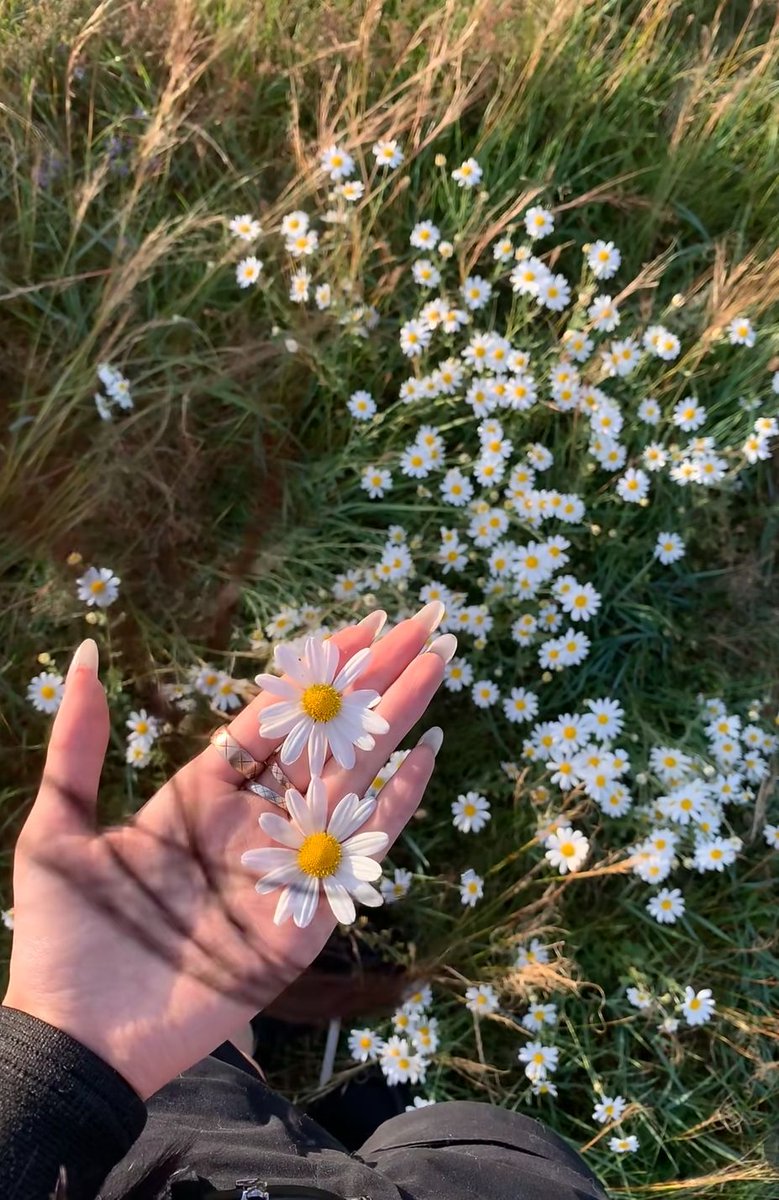 gosipinfo's tweet photo. Sometimes the best moments are the ones we never planned. Just enjoy the journey and let life surprise you. https://t.co/H1sBPB9GDD