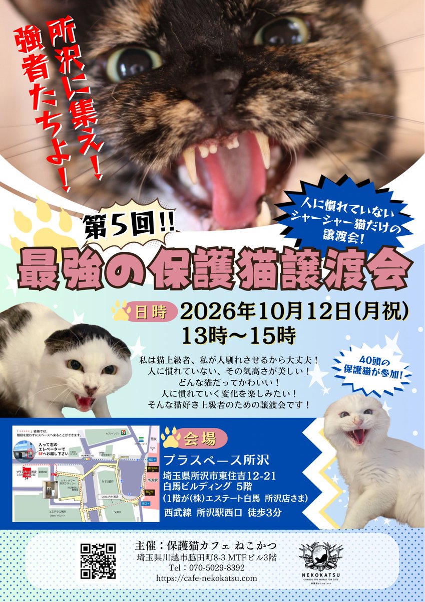 nekokatsu_1's tweet photo. 所沢に集え！強者たちよ！
第5回最強の保護猫譲渡会開催のお知らせ！≫📢
.
猫はどんな猫だってかわいい！

人に慣れていないその気高さがいい！

私が慣れさせるから大丈夫！

人に慣れていく変化を楽しみたい！

人に慣れていないのは
それだけつらい過去があったということ。

そのつらい過去ごとすべて私が受け止めるわ！

わたしだって人付き合いが苦手だもの。
そんな私とこれから一緒に生きていきましょう！
.
そんな猫上級者に向けた
人に慣れていないシャーシャー猫だけの譲渡会を開催します。

過去4回、本当にたくさんの方に来ていただき、
たくさんのシャー猫たちに
素敵なご縁をいただきました。

今回は、埼玉県所沢市に場所を移し
5回目の開催になります！
...............
開催日程
２０２6年10月12日（月・祝）
時間
１３時～１5時

会場
プラスペース所沢
https://t.co/UKzQxzdNyf

住所
埼玉県所沢市東住吉12-21 白馬ビルディング 5F
(ショッピングモール『エミテラス所沢』の隣)

西武線「所沢駅」徒歩３分、西口からまっすぐ進んだスタジオです。
...............

シャーシャー猫ばかり
約４０頭が参加します。

抱っこ大好きな猫
甘えん坊の猫
懐っこい猫
里親希望の多い子猫
は１頭もいません。

ぜひお立ち寄りください！

 #最強の保護猫譲渡会 #シャー猫譲渡会 #保護猫譲渡会 #ねこかつ #保護猫 #里親募集 #シャー猫 #譲渡会