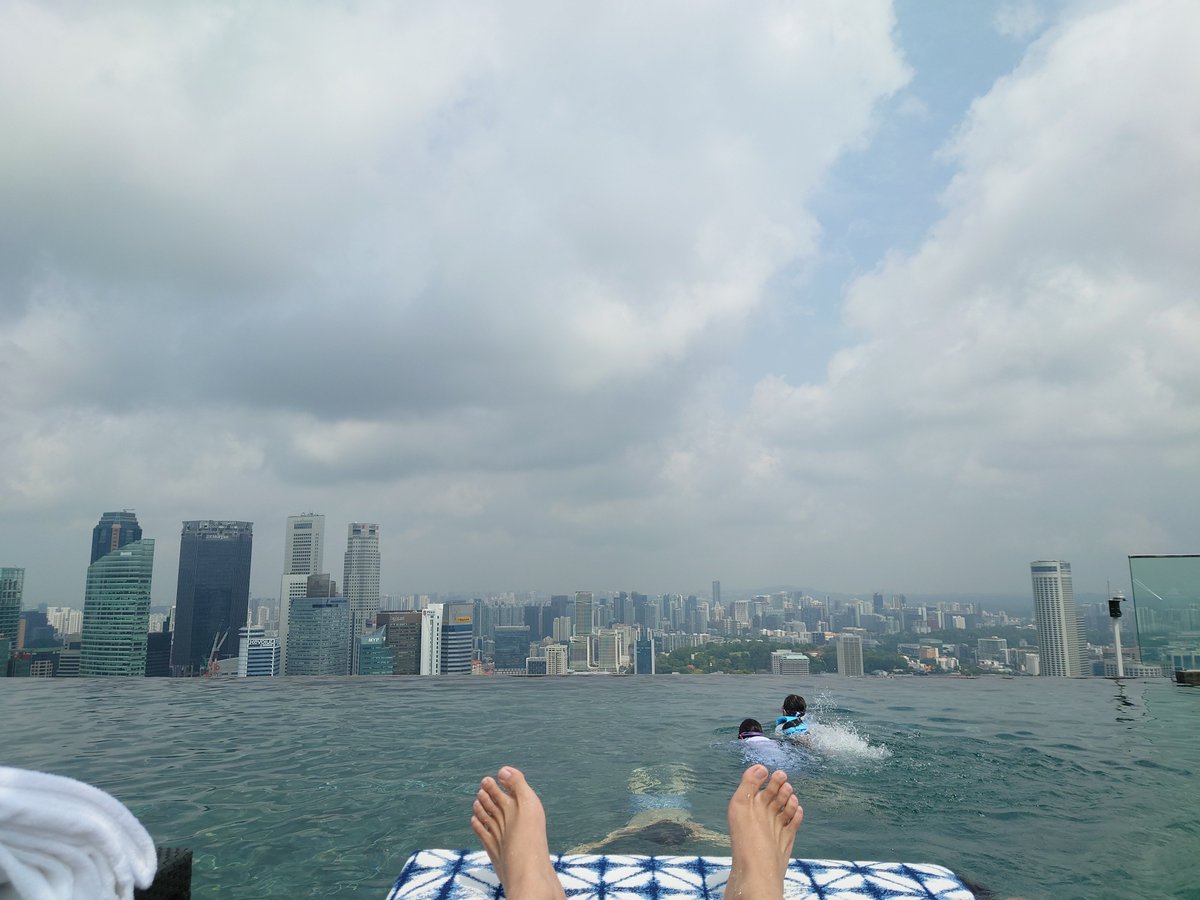 inonomata0723's tweet photo. というわけで、海外通算3ヶ国目となるシンガポールに行ってまいりました🇸🇬

異常独身インフィニティプールおじさんになることが出来て大満足です https://t.co/MkwsGbUc3v