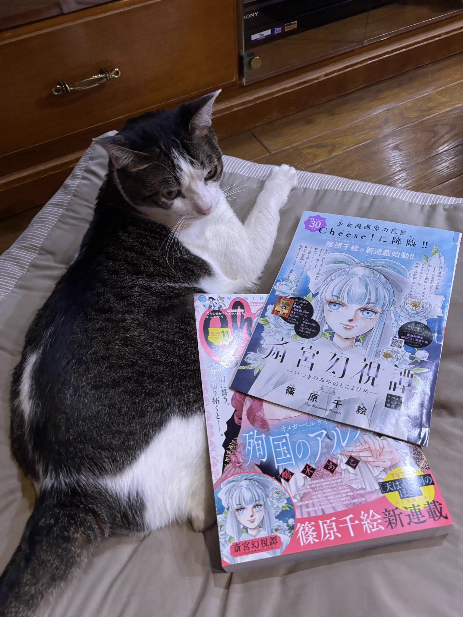 篠原千絵 on X: 