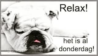 DJ_Foppy's tweet photo. Fijne dag vandaag 🔰👍🏿😀🔰 https://t.co/YCgDC1EL5K