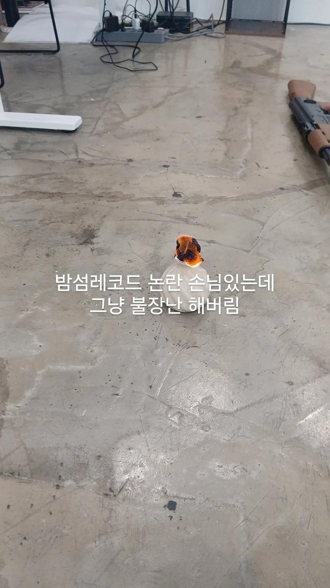 666alshaitan's tweet photo. 제 친구 **호 군이 운영하는 밤섬레코드
사장이 찐따고 착해요 CD도 주고 커피도 사줬어요 홍대 밤섬레코드 다들 방문하라 https://t.co/fH0mzrb0z5