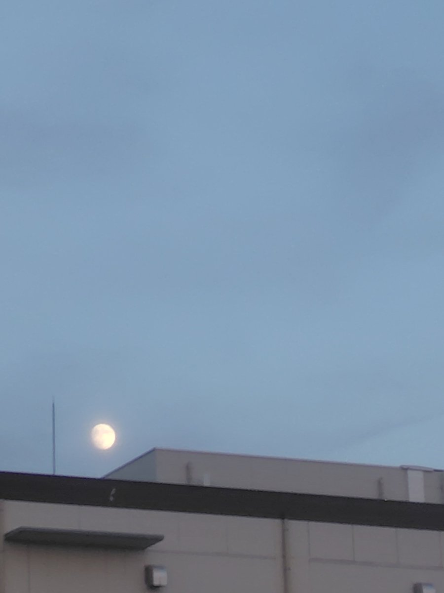 NoriSdr's tweet photo. 明日準備は万端🎑
って
とこかしら🌝

本日もおつかりまでした🫡 https://t.co/q0xtqbnfxQ