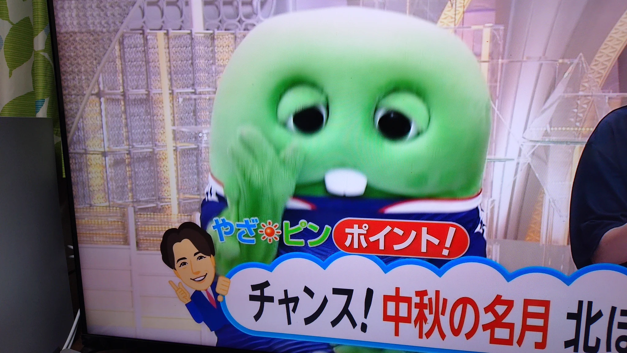 ガチャピン 花束ボンバー💐 on X: 