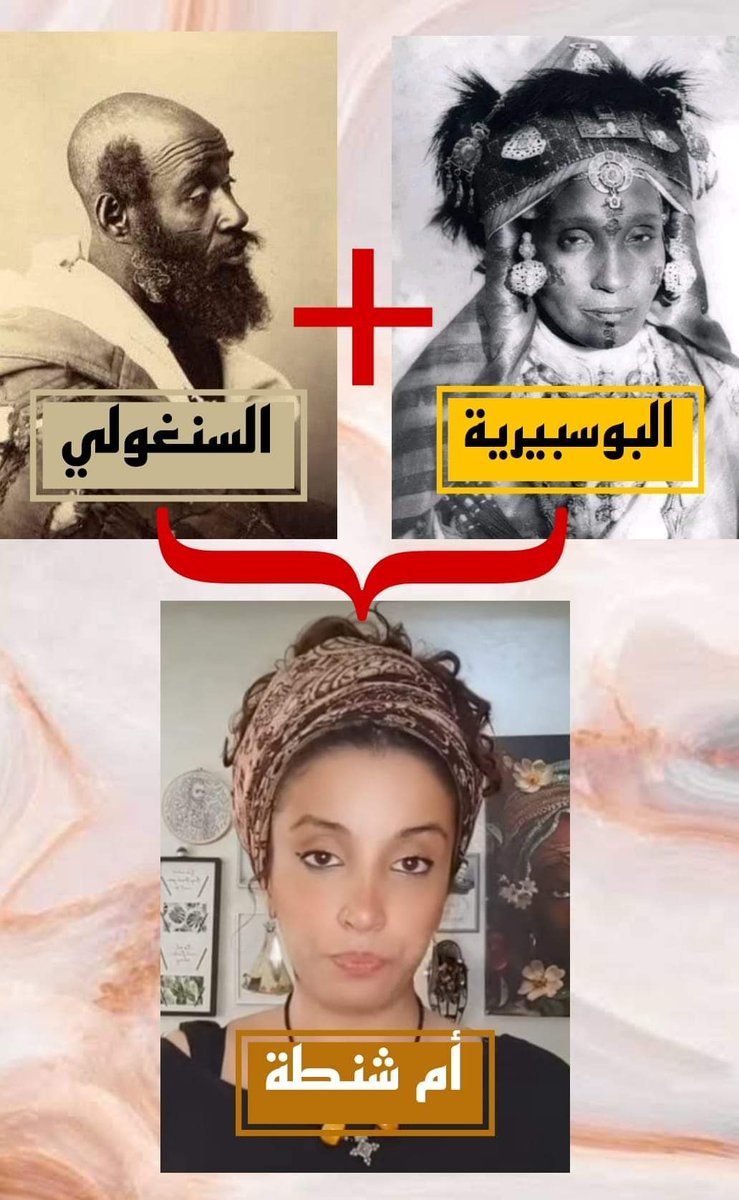 Setifisbras's tweet photo. منتوج🇲🇦 لا يحتاج شهادة مطابقة 🤣😂 https://t.co/YJllTvfN7P